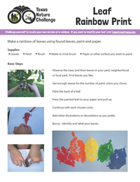 LeafRainbow